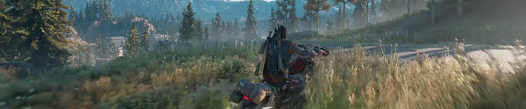 Days Gone